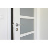 Bloc-Porte MODULIGHT Ame Pleine