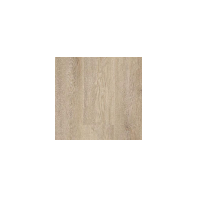 Lames Spirit Pro Click Comfort 55 Elite Sand Lames Spirit Pro Click Comfort 55 Elite Sand
