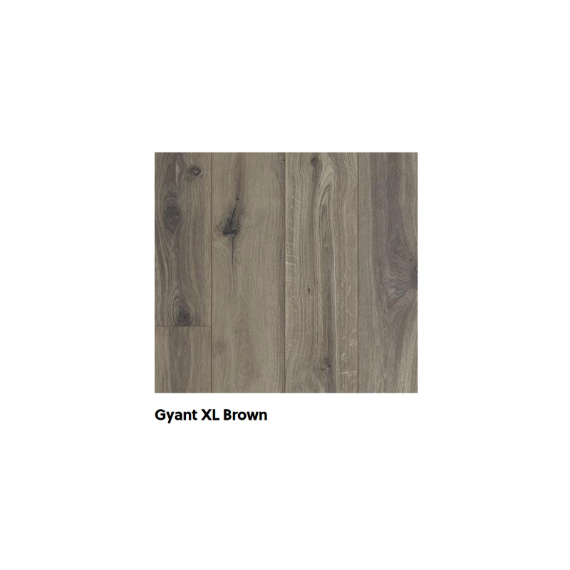Stratifié Glorious Gyant XL Brown Stratifié Glorious Gyant XL Brown