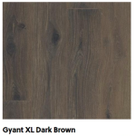 Stratifié Glorious Gyant XL Dark Brown