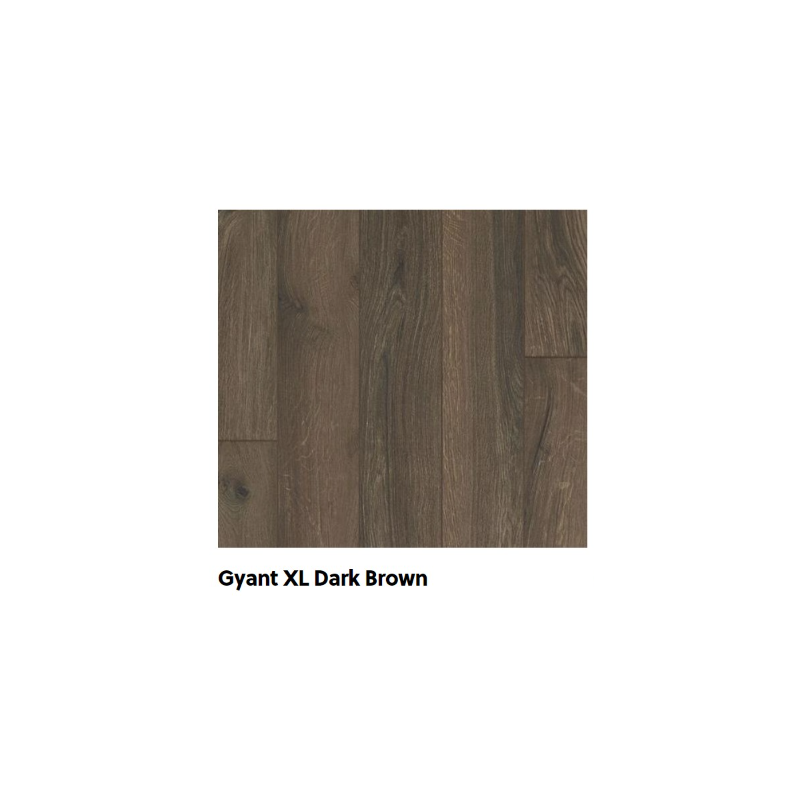 Stratifié Glorious Small Gyant XL Dark Brown Stratifié Glorious Small Gyant XL Dark Brown